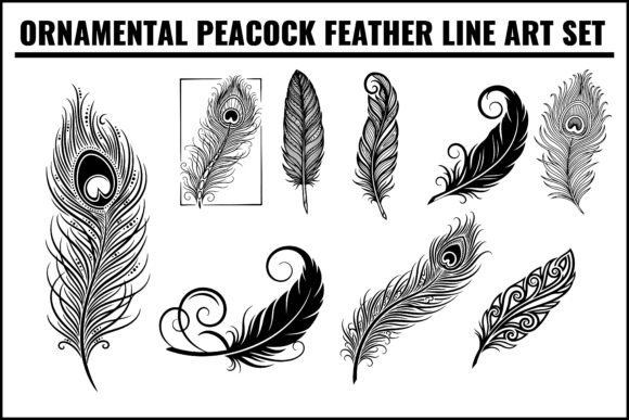 Download Ornamental Peacock Feather Line Art Set - Ornament Collection