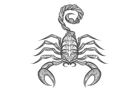 Download Scorpion in Decorative Tribal Ornament S - Ornament Collection