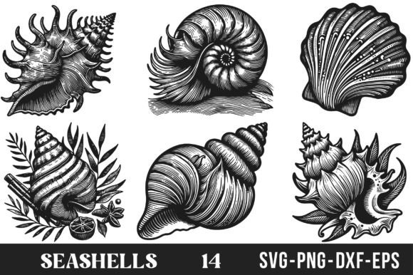 Download Seashells SVG Bundle - Svg bundle Collection